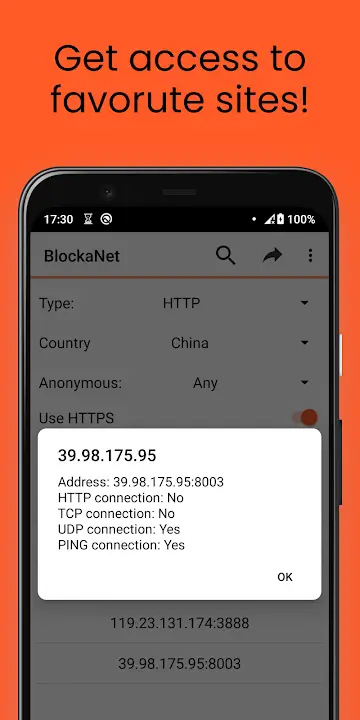 BlockaNet MOD APK